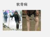 魯教五四制初中化學(xué)九年級(jí)全冊(cè)《第五單元 2 化學(xué)元素與人體健康》課件PPT