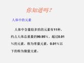魯教五四制初中化學(xué)九年級(jí)全冊(cè)《第五單元 2 化學(xué)元素與人體健康》課件PPT