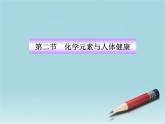 魯教五四制初中化學(xué)九年級(jí)全冊(cè)《第五單元 2 化學(xué)元素與人體健康》課件PPT
