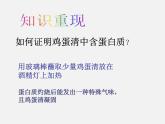 魯教五四制初中化學(xué)九年級(jí)全冊(cè)《第五單元 3 遠(yuǎn)離有毒物質(zhì)》課件PPT