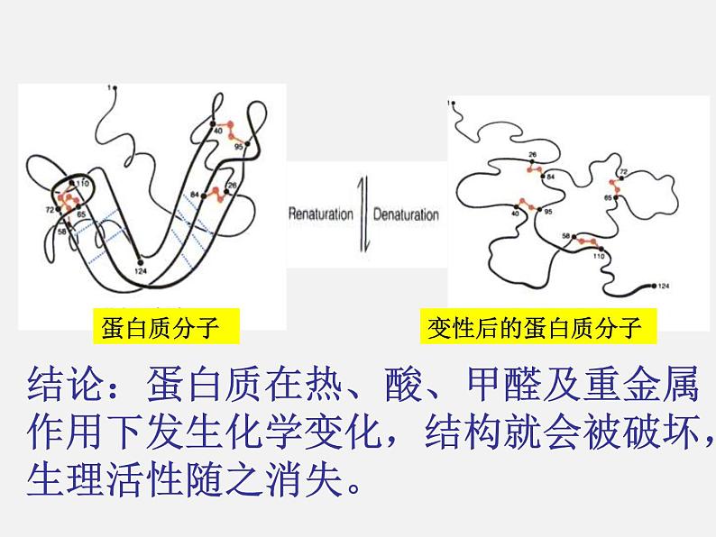 鲁教五四制初中化学九年级全册《第五单元 3 远离有毒物质》课件PPT第5页