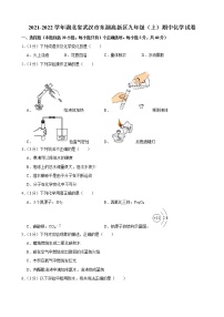 湖北省武汉市东湖新技术开发区2021-2022学年九年级上学期期中考试化学【试卷+答案】