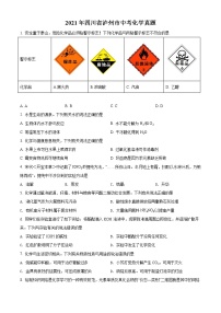 2021年四川省泸州市中考化学试题（原卷+解析）