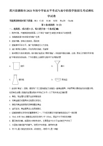 2021年四川省德阳市中考化学试题（原卷+解析）