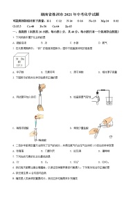 2021年湖南省株洲市中考化学试题（原卷+解析）