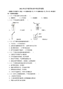 2021年辽宁省丹东市中考化学试卷真题（解析版）