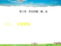 初中化学科粤版九年级下册8.5 化学肥料课文内容课件ppt