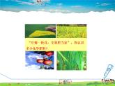 科学版化学九年级下册  8.5  化学肥料【课件+素材】