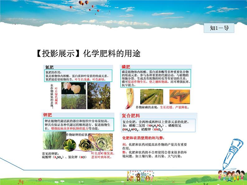 科学版化学九年级下册  8.5  化学肥料【课件+素材】07