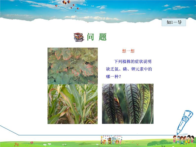 科学版化学九年级下册  8.5  化学肥料【课件+素材】08