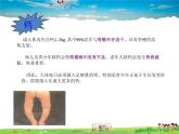 鲁教版（五四制）化学九年级全册  5.2 化学元素与人体健康【课件】