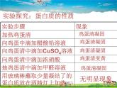 鲁教版（五四制）化学九年级全册  5.3 远离有毒物质【课件】