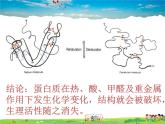 鲁教版（五四制）化学九年级全册  5.3 远离有毒物质【课件】
