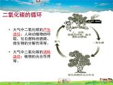 魯教版化學(xué)九年級(jí)上冊(cè)  6.3  大自然中的二氧化碳【課件】