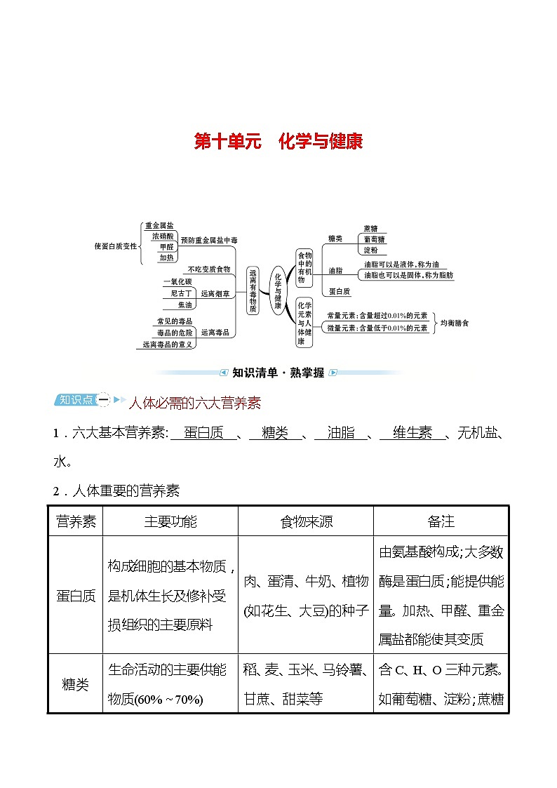 备战2022 鲁教版 中考复习 第十单元 化学与健康 学案(教师版)第1页