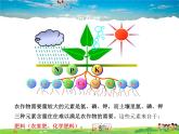 化學(xué)肥料PPT課件免費下載