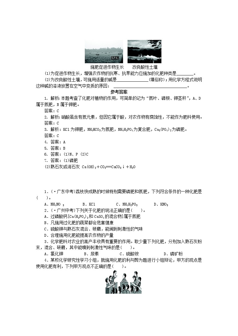 鲁教初中化学九下《第十一单元  第3节 化学与农业生产》学案03