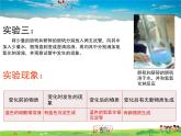 人教版化学九年级上册  1.1 物质的变化与性质【课件】