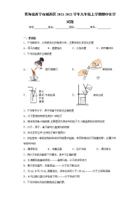 青海省西宁市城西区2021-2022学年九年级上学期期中化学试题（word版 含答案）