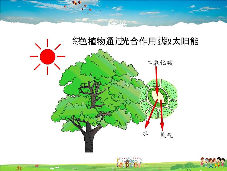 沪教版化学九年级下册  8.2糖类  油脂【课件】第2页