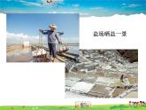 科粤版化学九年级下册  8.4 常见的盐【课件】