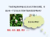 人教版化学九年级下册  第十一单元 盐 化肥  课题2 化学肥料【课件+素材】