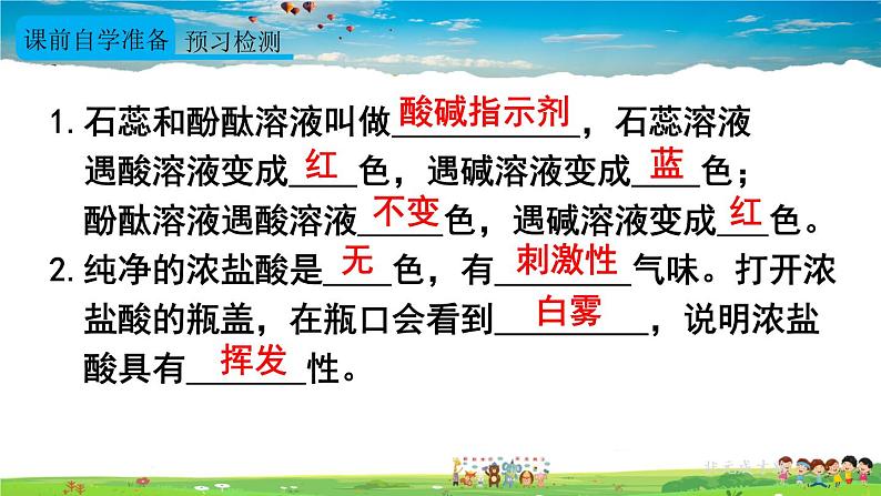 人教版化学九年级下册  第十单元  课题1 常见的酸和碱  第1课时 酸碱指示剂及常见的酸【课件+素材】03