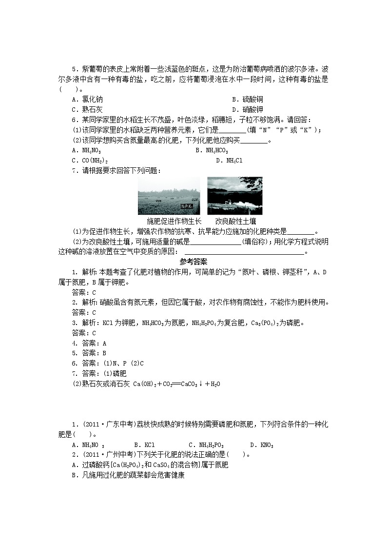 鲁教五四制初中化学九年级全册《第六单元  3 化学与农业生产》教案03