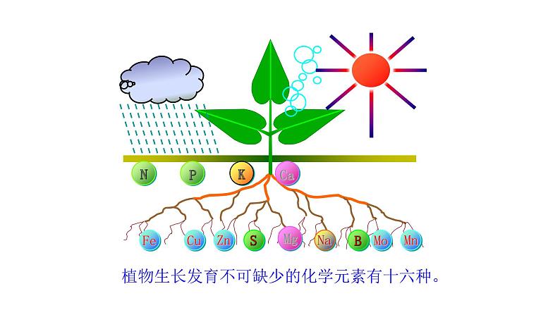 7.3.2 化学肥料第5页