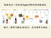 魯教版（五四制）化學(xué)九年級全一冊 2.3  溶液的酸堿性（課件）
