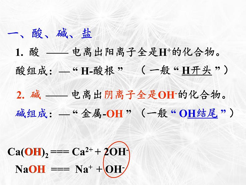 鲁教版（五四制）化学九年级全一册 2.3  溶液的酸碱性(1)（课件）第4页