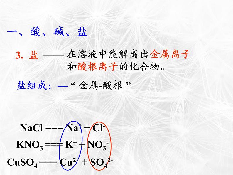 鲁教版（五四制）化学九年级全一册 2.3  溶液的酸碱性(1)（课件）第5页