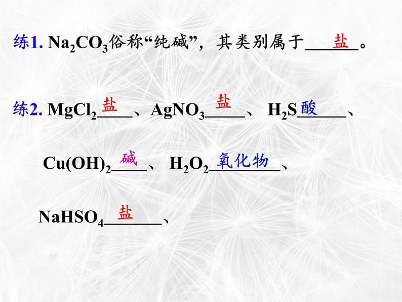 鲁教版（五四制）化学九年级全一册 2.3  溶液的酸碱性(1)（课件）第6页