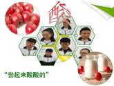 魯教版（五四制）化學(xué)九年級(jí)全一冊(cè) 2. 酸及其性質(zhì)（課件）