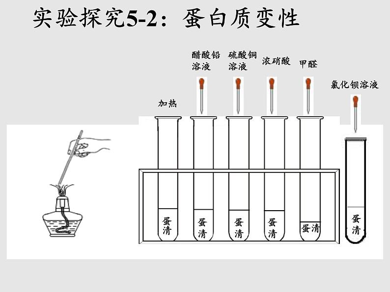 鲁教版（五四制）化学九年级全一册 5.3  远离有毒物质（课件）第4页