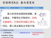 魯教版（五四制）化學(xué)九年級(jí)全一冊(cè) 5.3  遠(yuǎn)離有毒物質(zhì)（課件）