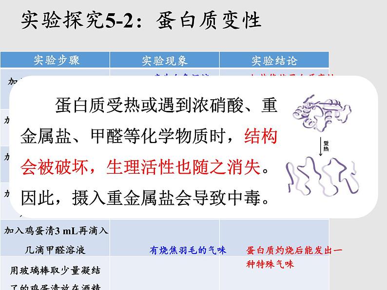 鲁教版（五四制）化学九年级全一册 5.3  远离有毒物质（课件）第5页