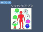 魯教版（五四制）化學(xué)九年級(jí)全一冊(cè) 5.2 化學(xué)元素與人體健康(2)（課件）