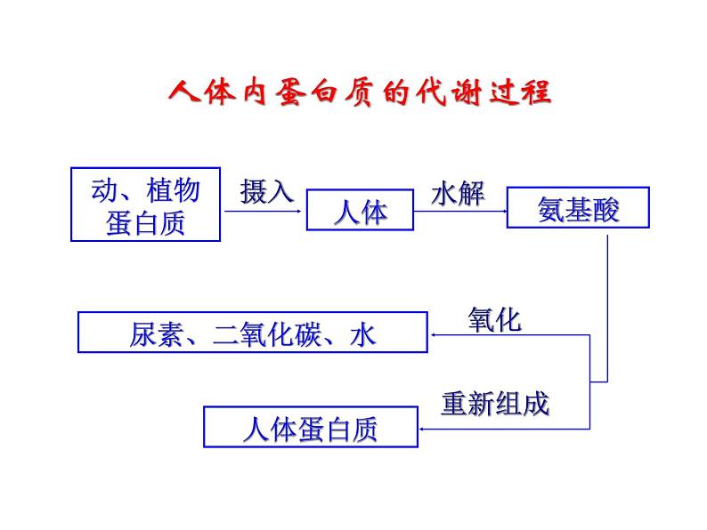 鲁教版（五四制）化学九年级全一册 5.食物中的有机物（课件）第4页