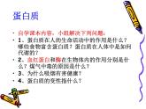鲁教版（五四制）化学九年级全一册 5.食物中的有机物(1)（课件）