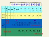 魯教版（五四制）化學(xué)九年級(jí)全一冊(cè) 5.2 化學(xué)元素與人體健康(1)（課件）