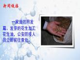 魯教版（五四制）化學(xué)九年級(jí)全一冊(cè) 5.3 遠(yuǎn)離有毒物質(zhì)（課件）