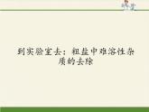 鲁教版（五四制）化学九年级全一册 第三单元 到实验室去：粗盐中难溶性杂质的去除（课件）