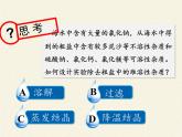 鲁教版（五四制）化学九年级全一册 第三单元  到实验室去：粗盐中难溶性杂质的去除(2)（课件）