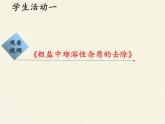 鲁教版（五四制）化学九年级全一册 第三单元  到实验室去：粗盐中难溶性杂质的去除(2)（课件）