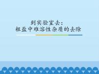 初中化学到实验室去：粗盐中难溶性杂质的去除评课课件ppt