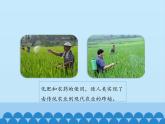 魯教版（五四制）化學(xué)九年級(jí)全一冊(cè) 6.3 化學(xué)與農(nóng)業(yè)生產(chǎn)_1（課件）