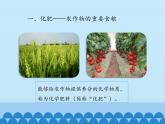 魯教版（五四制）化學(xué)九年級(jí)全一冊(cè) 6.3 化學(xué)與農(nóng)業(yè)生產(chǎn)_1（課件）