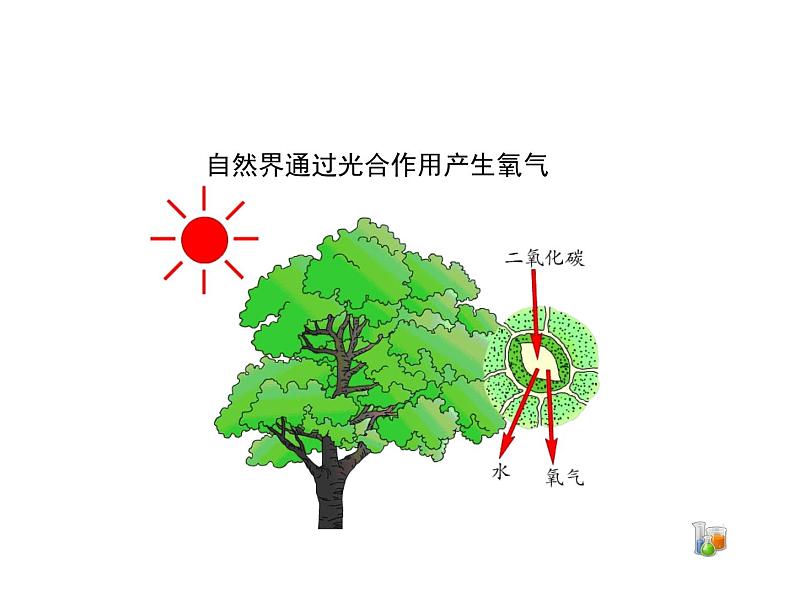 人教版（五四制）八年级全一册化学 第二单元 课题3 制取氧气 (2)（课件）01