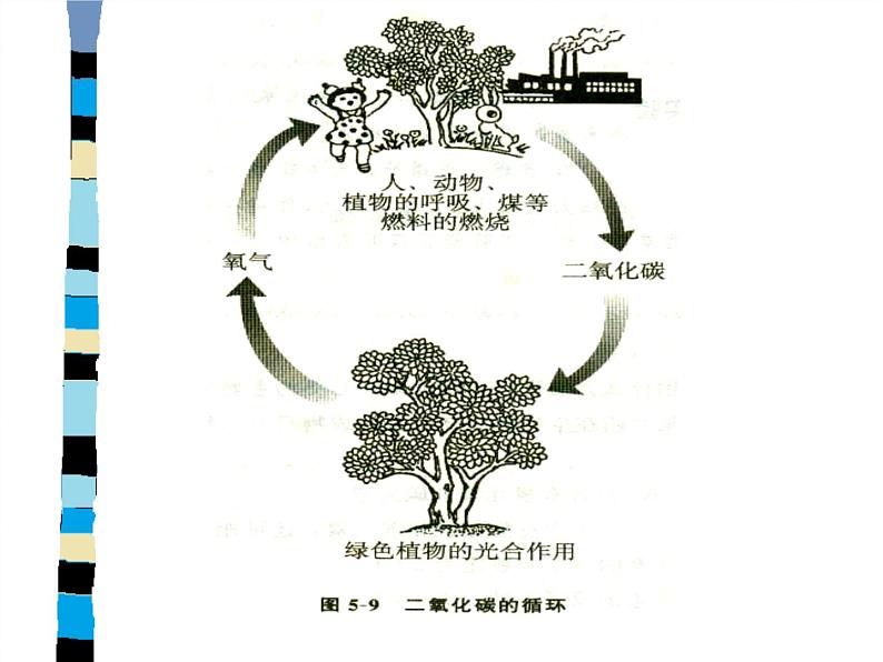 人教版（五四制）八年级全一册化学 第六单元 课题3 二氧化碳和一氧化碳(3)（课件）第3页